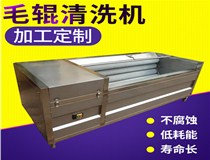 毛辊清洗去皮机适用于什么物料的清洗